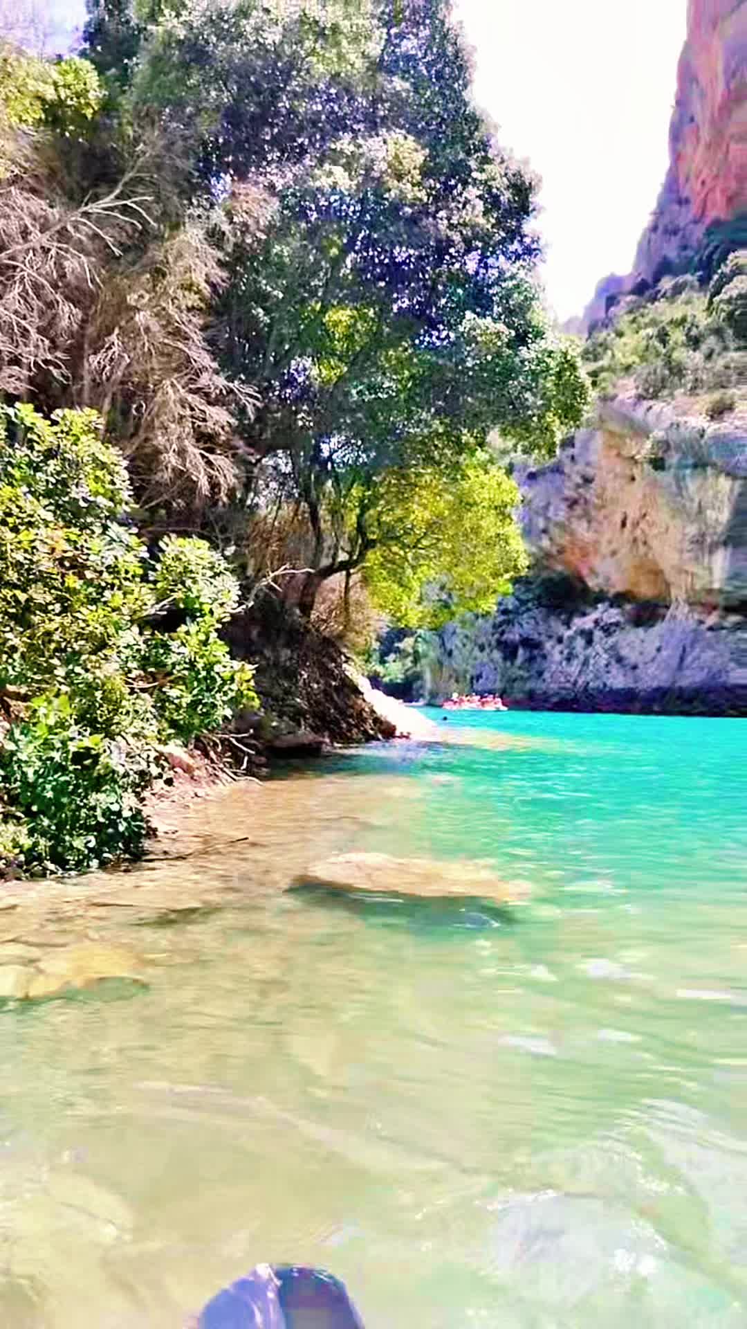 @Papache.WT