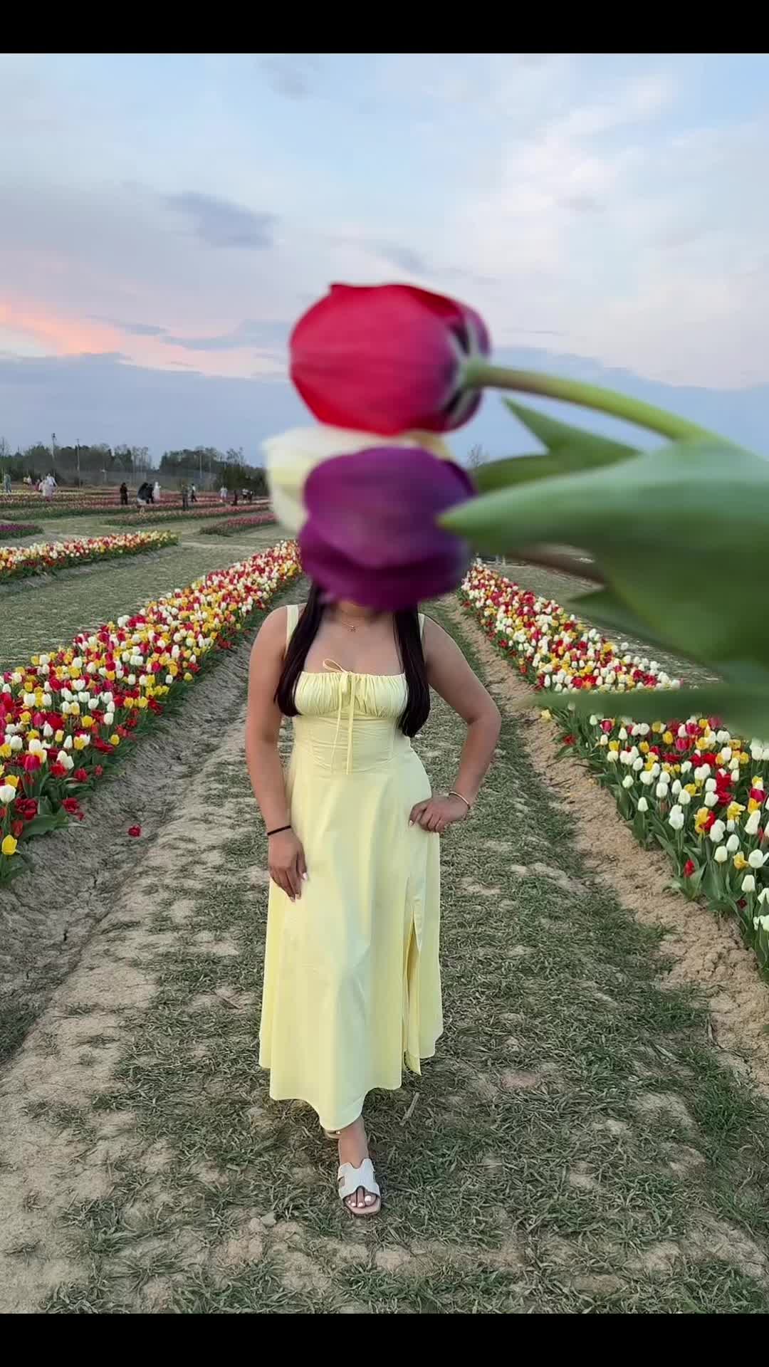 @Gris Cuéllar