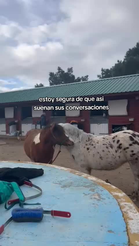@DiarioOcultoLasPalomas✨