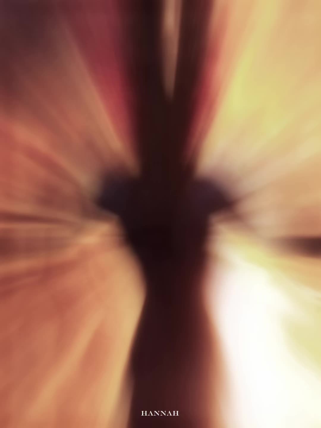 @&infin;ℋ𝒶𝓃𝓃𝒶𝒽&infin;