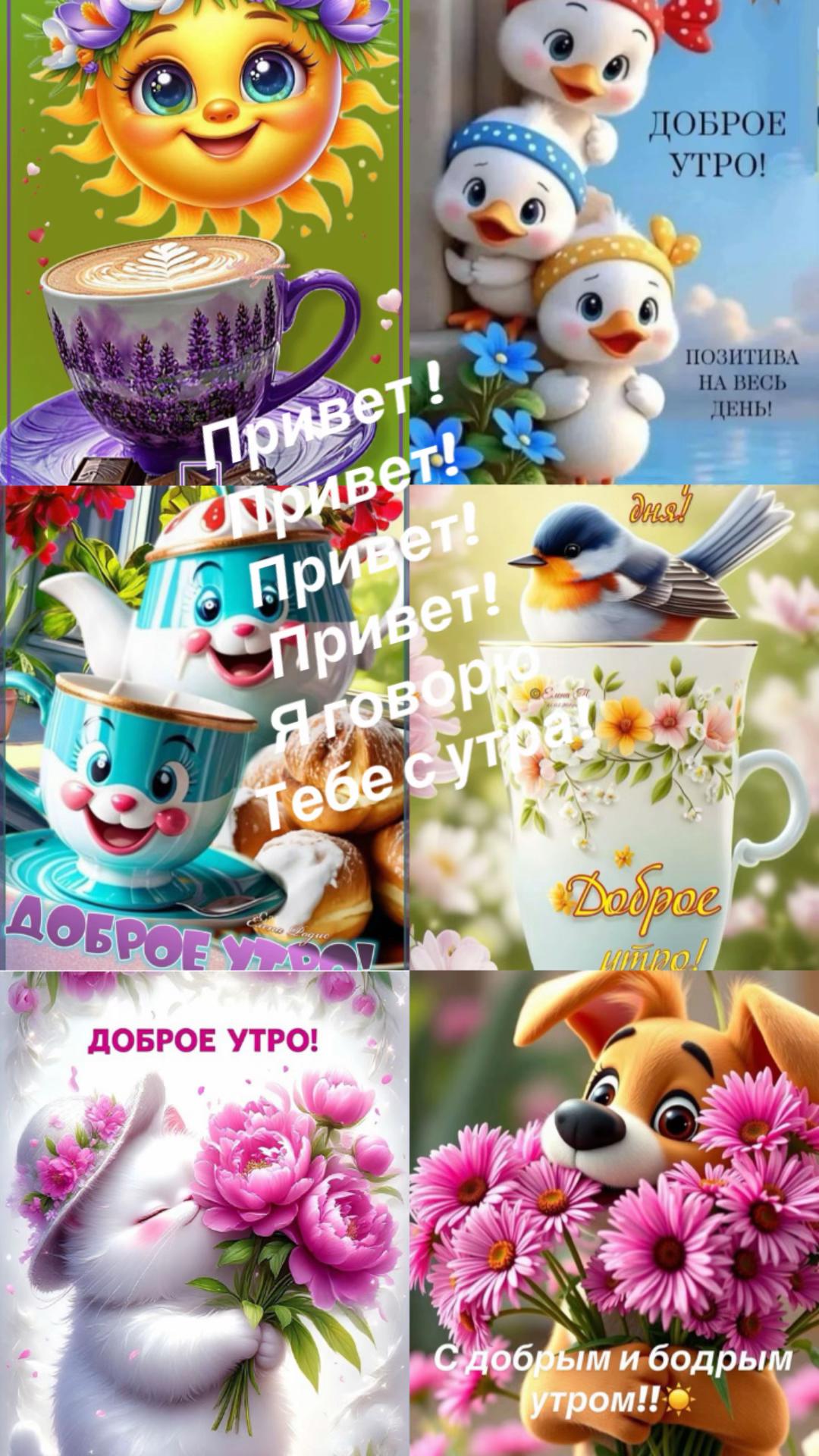 @nadja