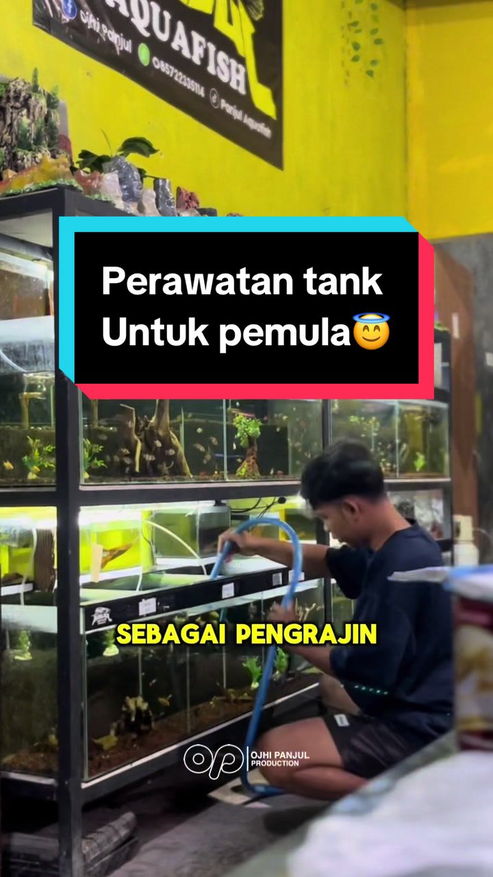 @Panjul Aquafish