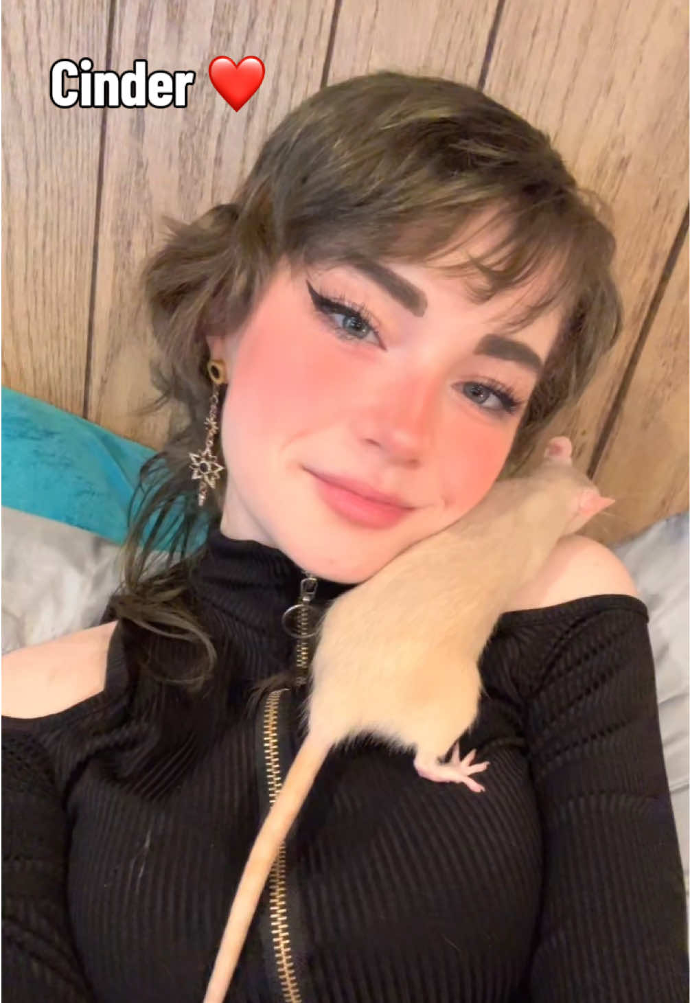 @lookatmyrodents