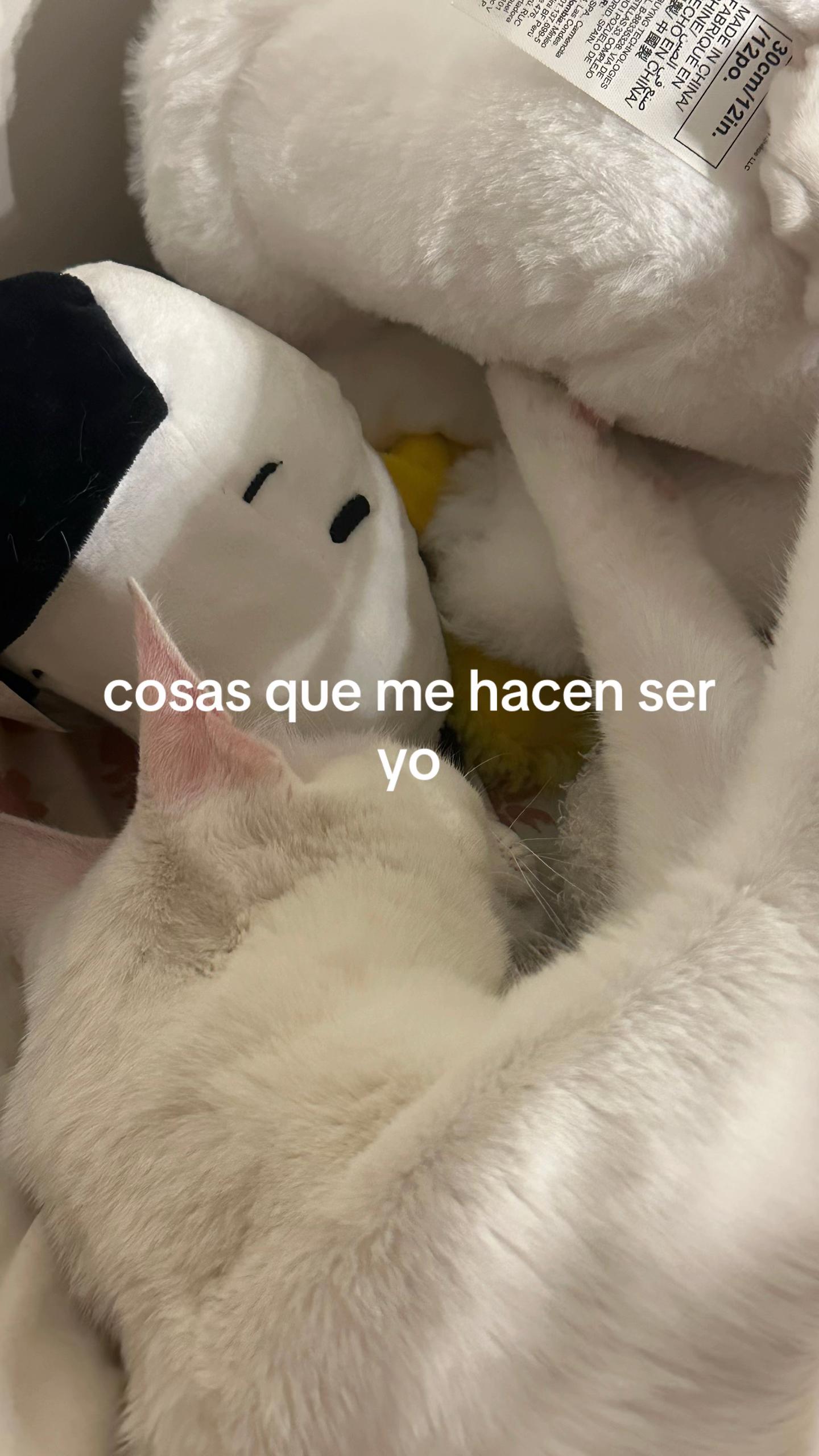 @urfavnyuny__