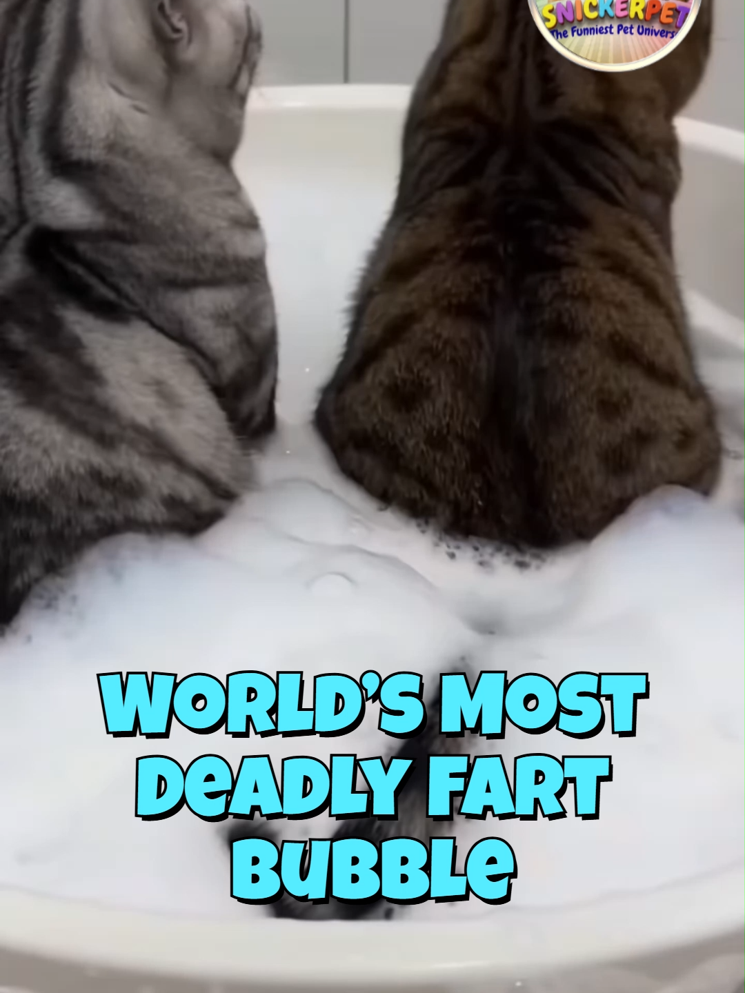 @Snickerpet