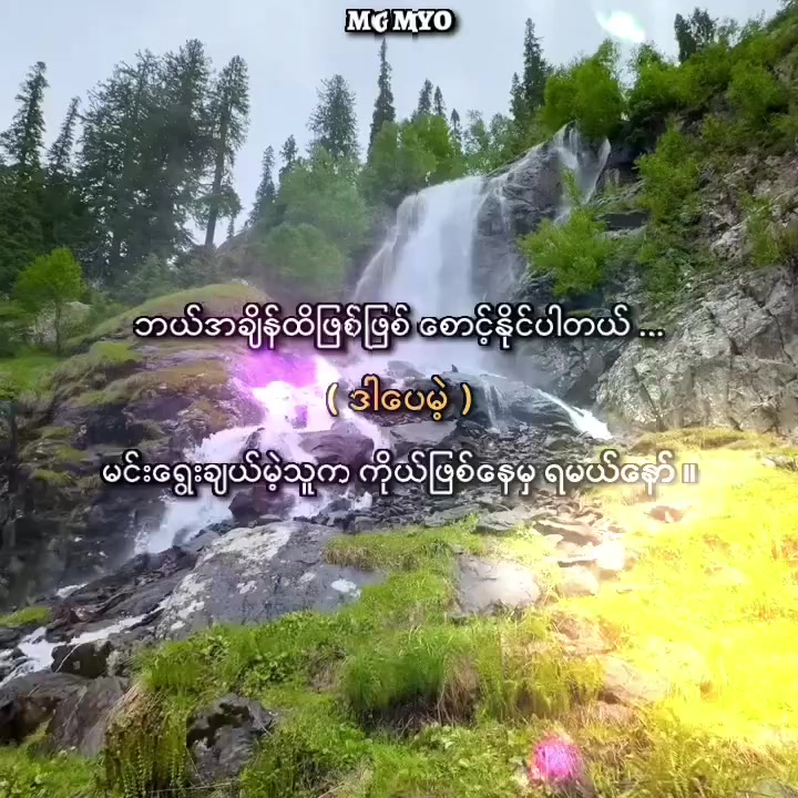 @✿ ᴍɢ ᴍʏᴏ ✿