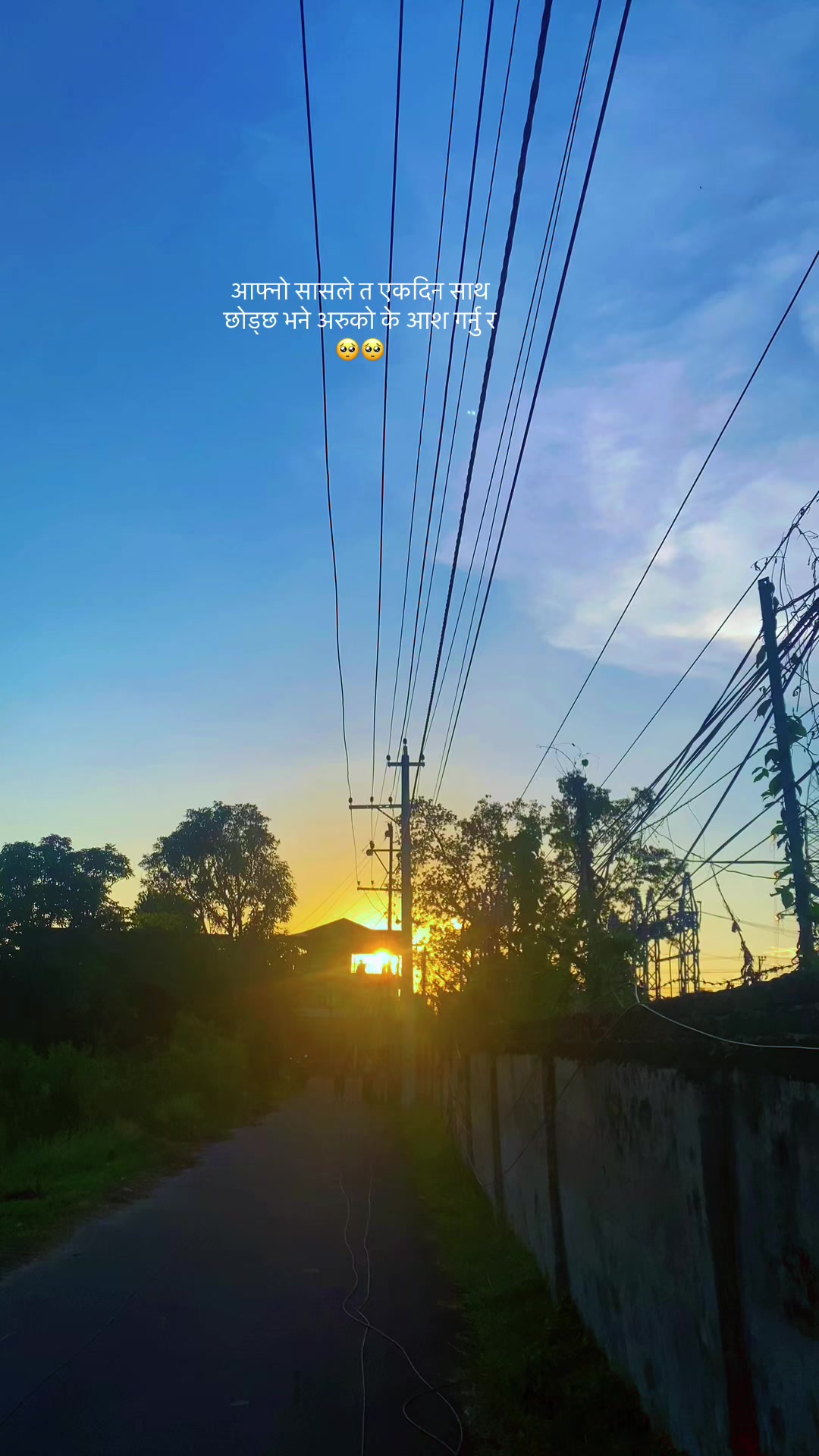 @nature____vibes💜