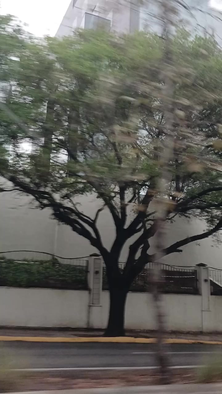 @chaparrita