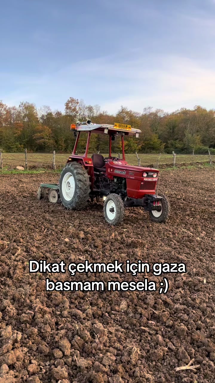 @Ｉ̇ＢＲＡＨＩ̇Ｍ Ｃ̧ＥＬＩ̇Ｋ ５５