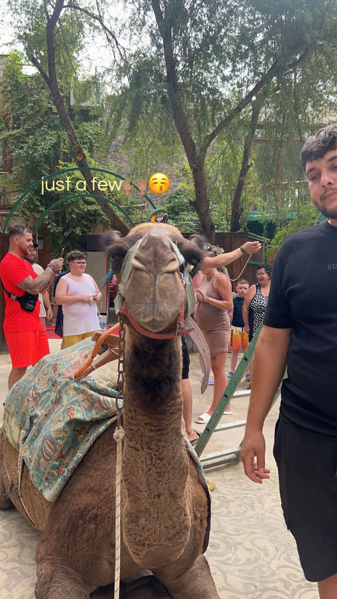 @𝓋𝒶𝓎📿