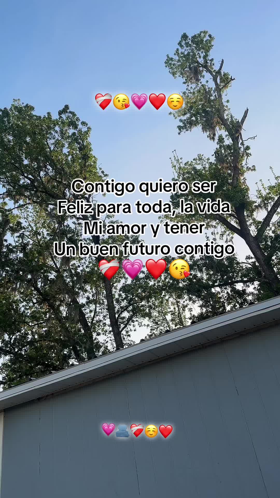 @Elena
