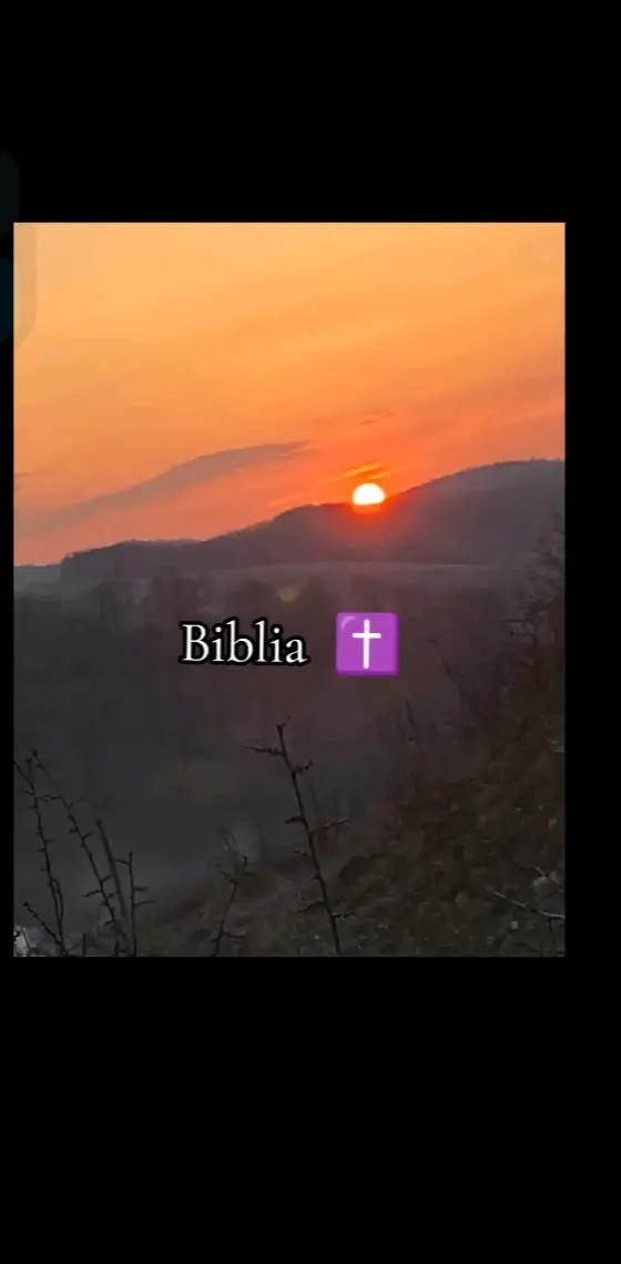@aliszia13