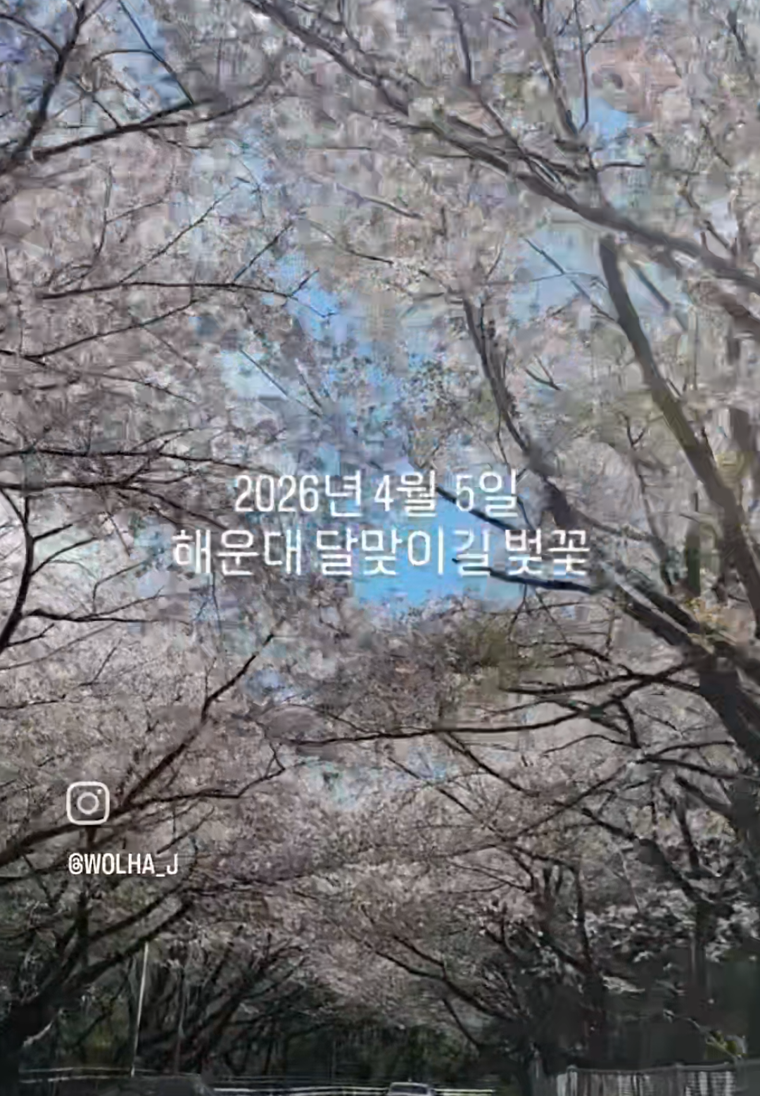 @부산감성숙소 월하정인