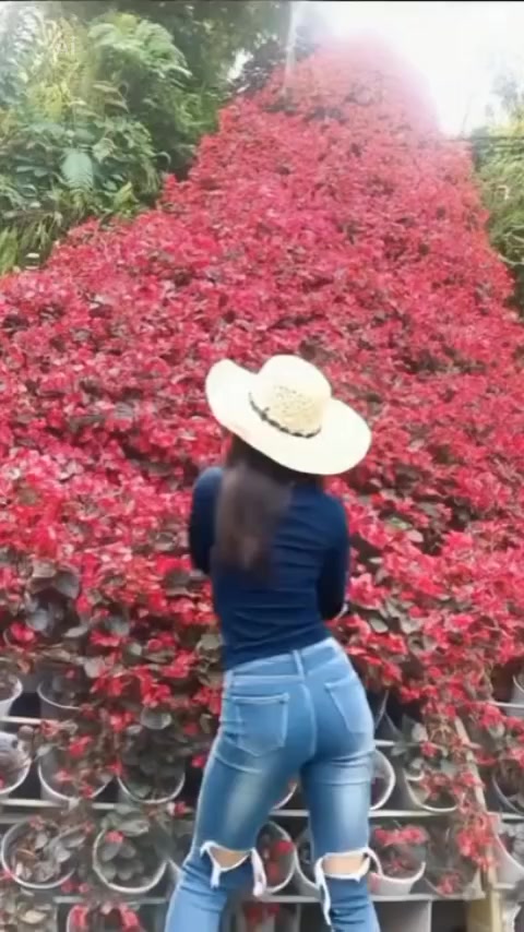 @💗🇻🇳⛩️A Chẩy⛩️🇻🇳💗