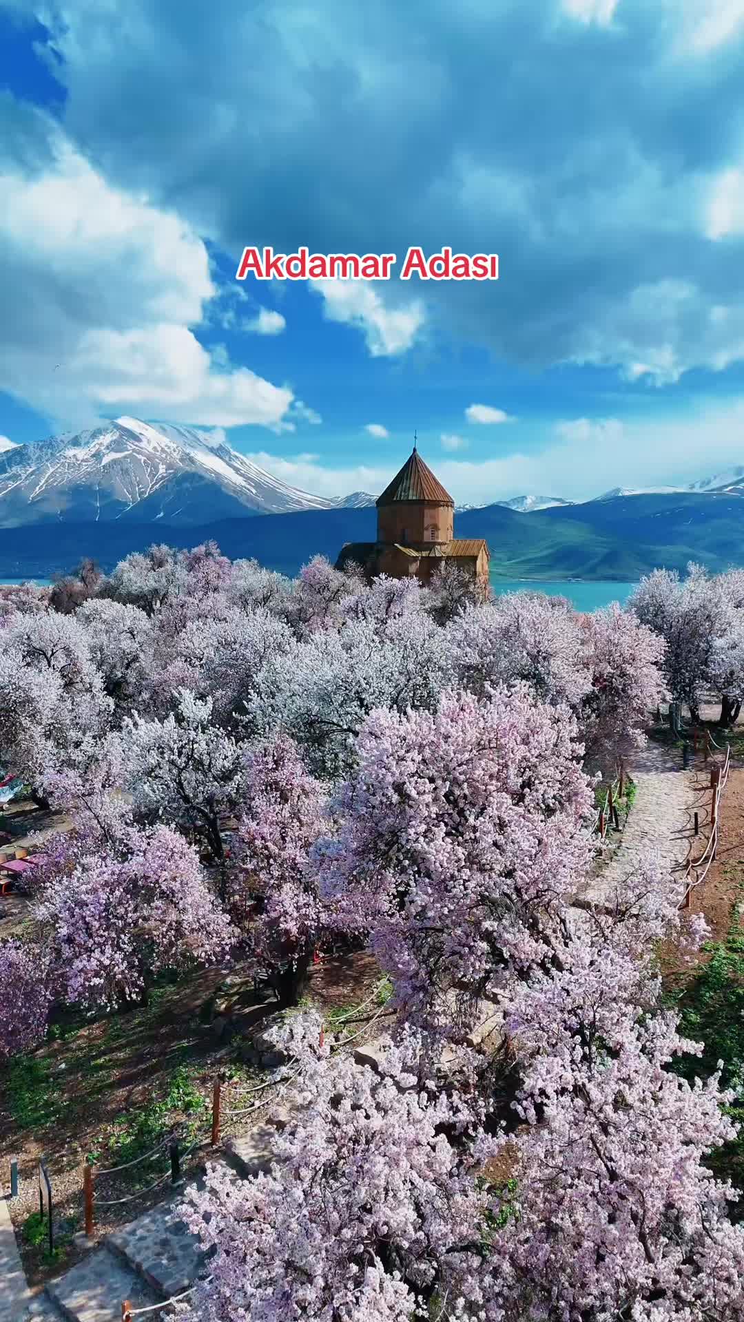 @Muzaffer Salcıoğlu