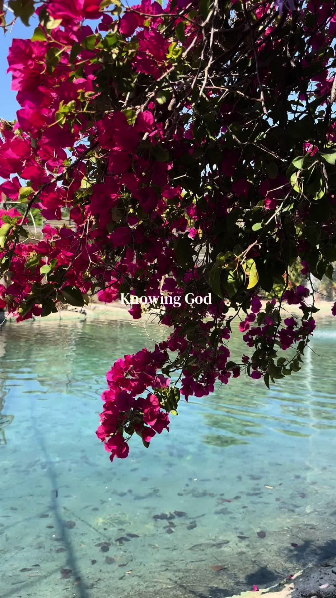 @WomanofGod