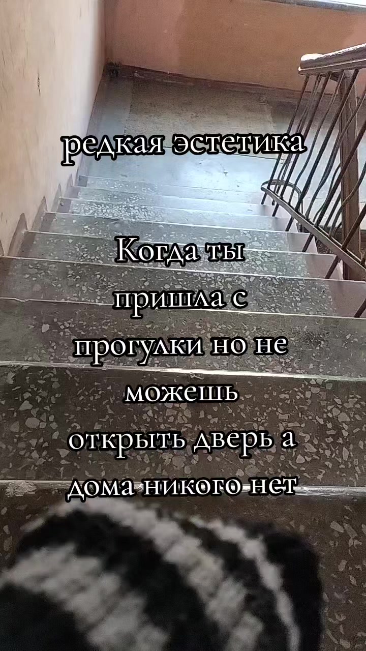 @𝖘𝖍𝖎𝖎𝖗𝖔( &acute;&times;｀ )