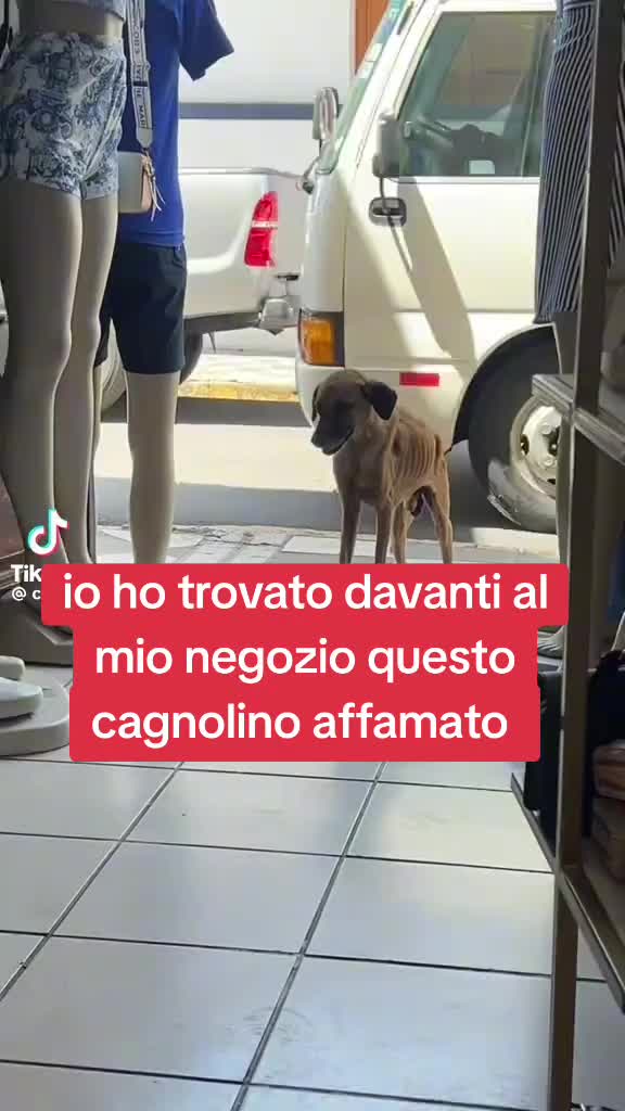 @Francesco Fotia