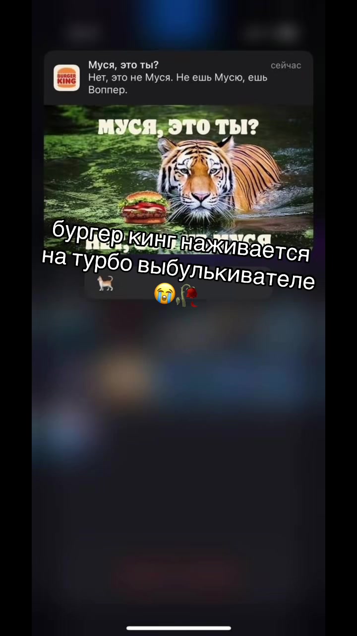 @тгк турбо выбулькиватель