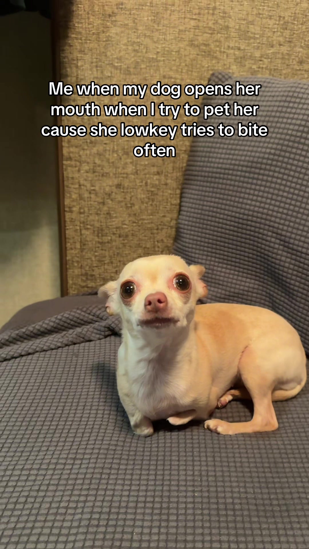 @Gio + Emmy