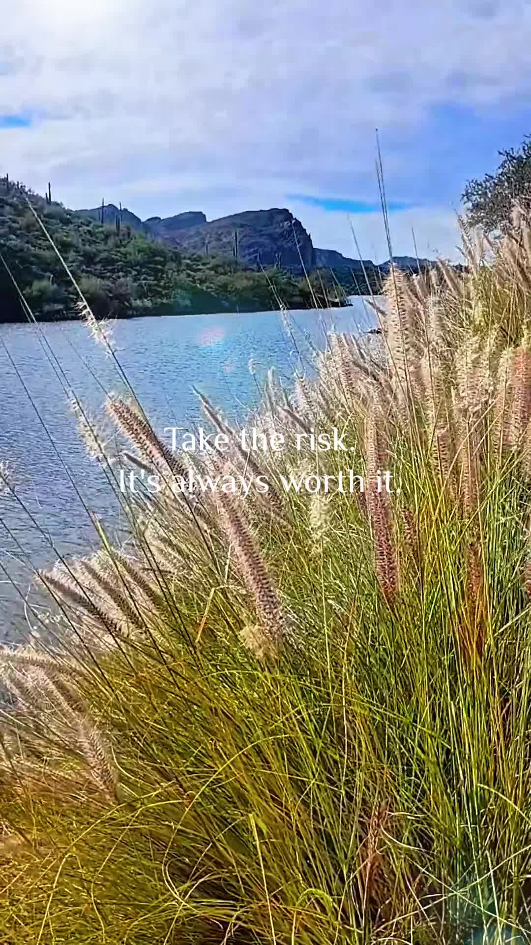 @Ashley 🌵