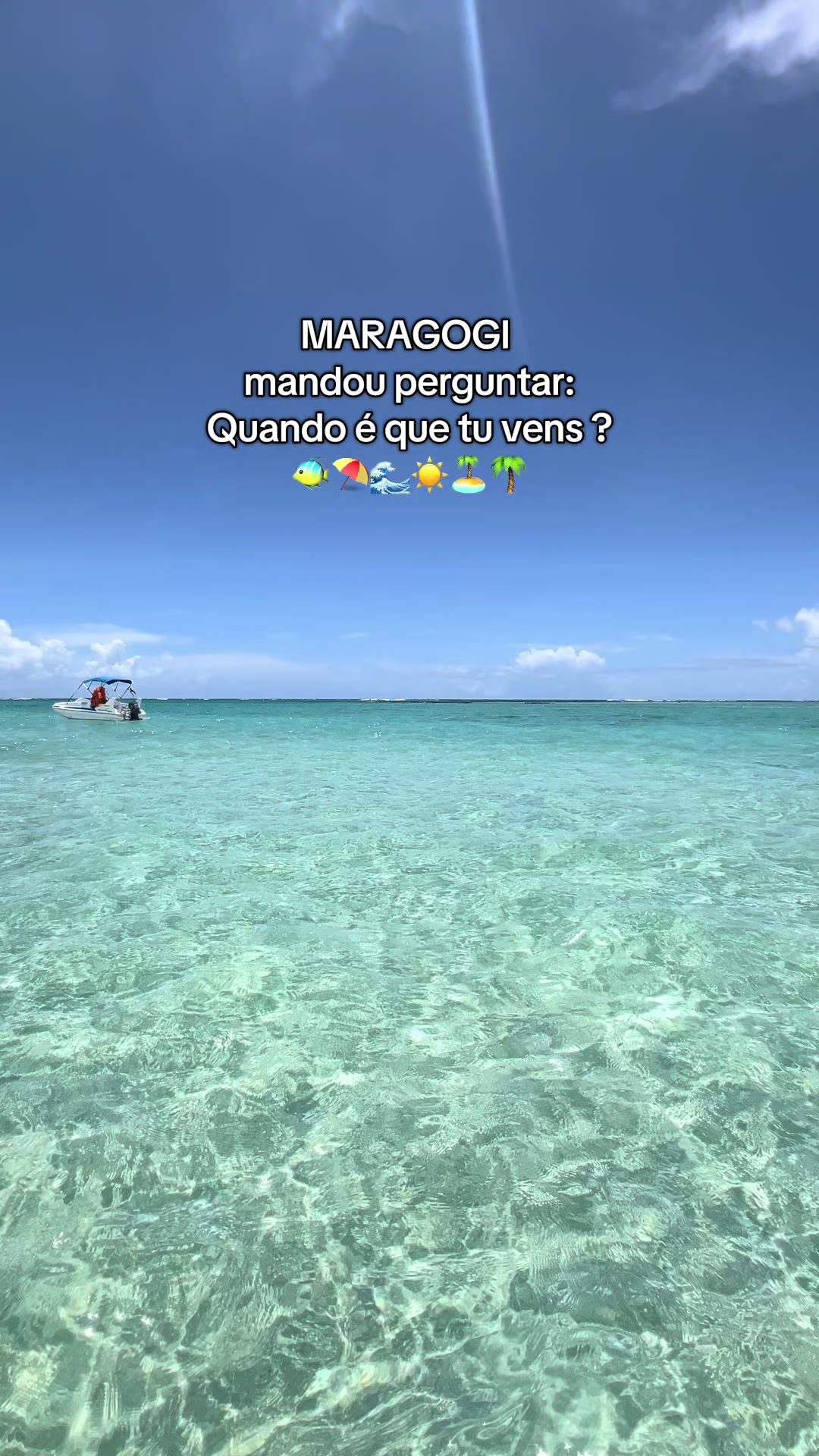 @Ag&ecirc;ncia Lagoa Azul Maragogi🐠