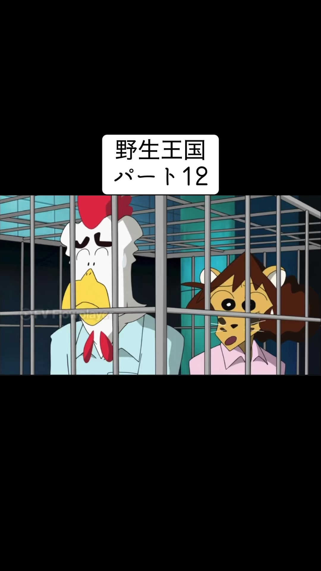 @くろいそ様🐈&zwj;⬛