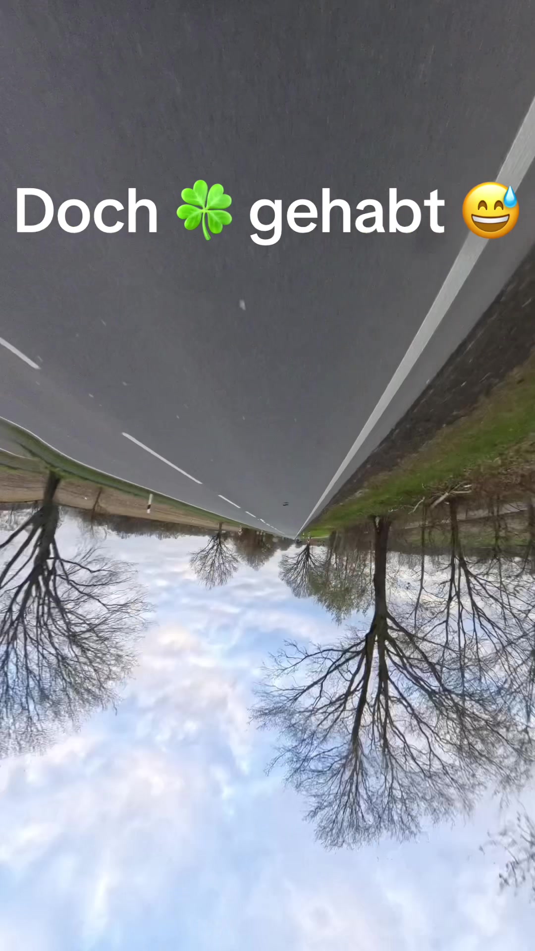 @dan.d77