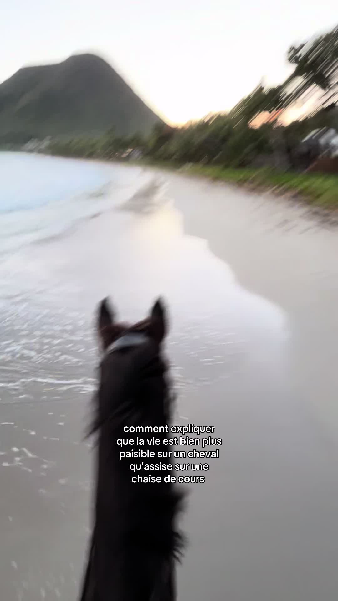 @ʟᴏʟᴀ ᴍɪᴇɢᴇʙɪᴇʟʟᴇ 🇫🇷