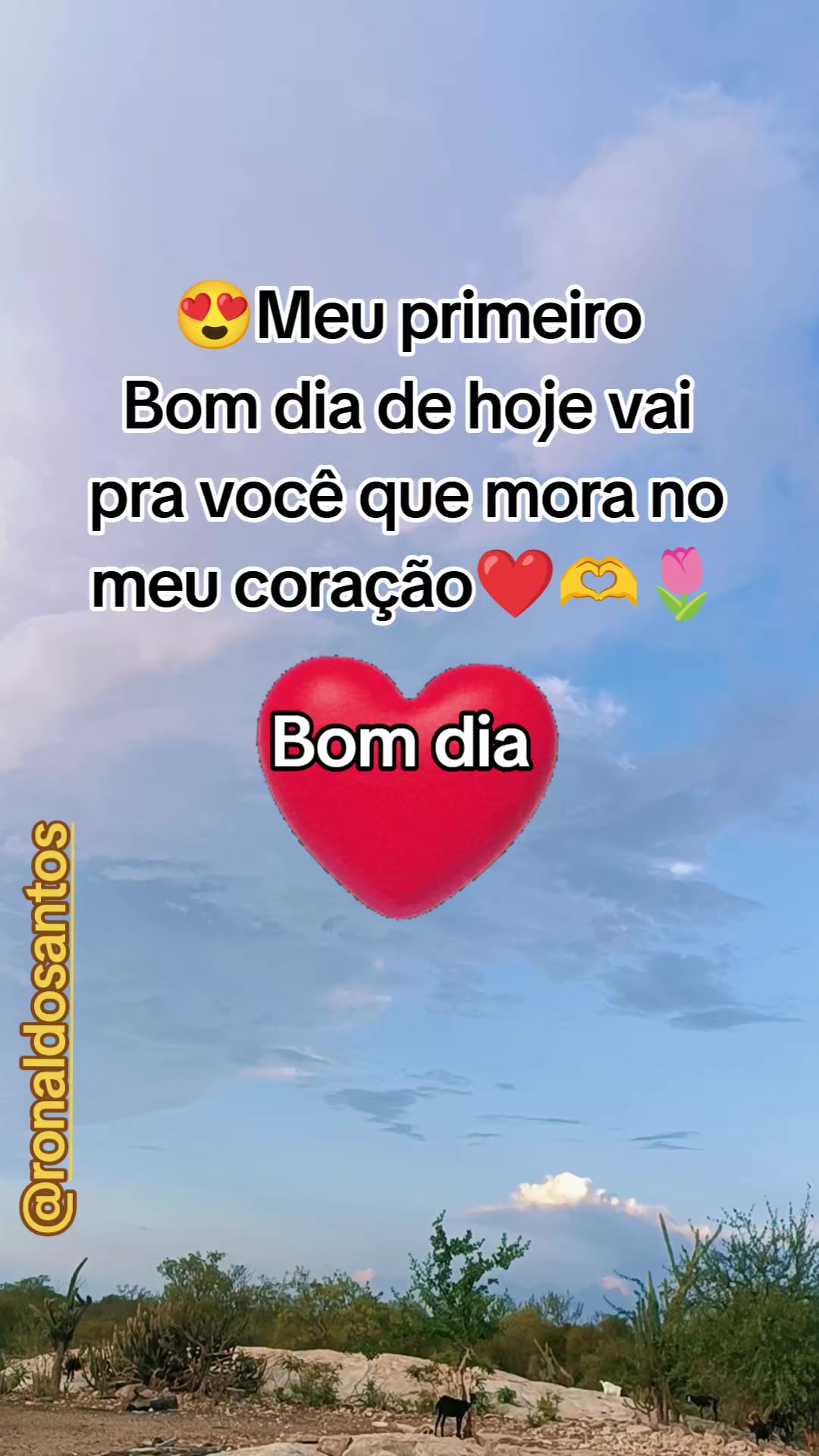 @ronaldosantos
