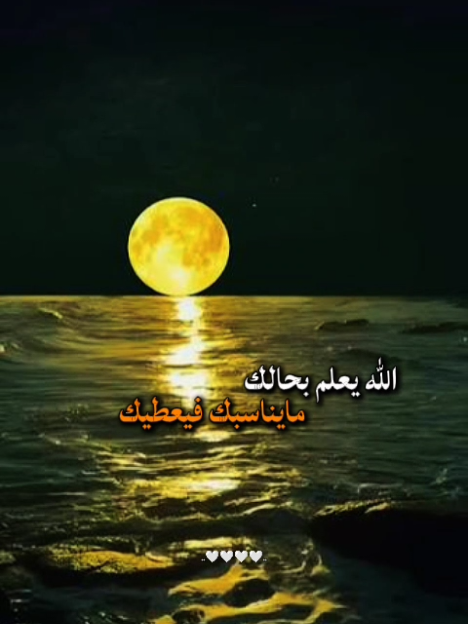 @Mohamed Negm