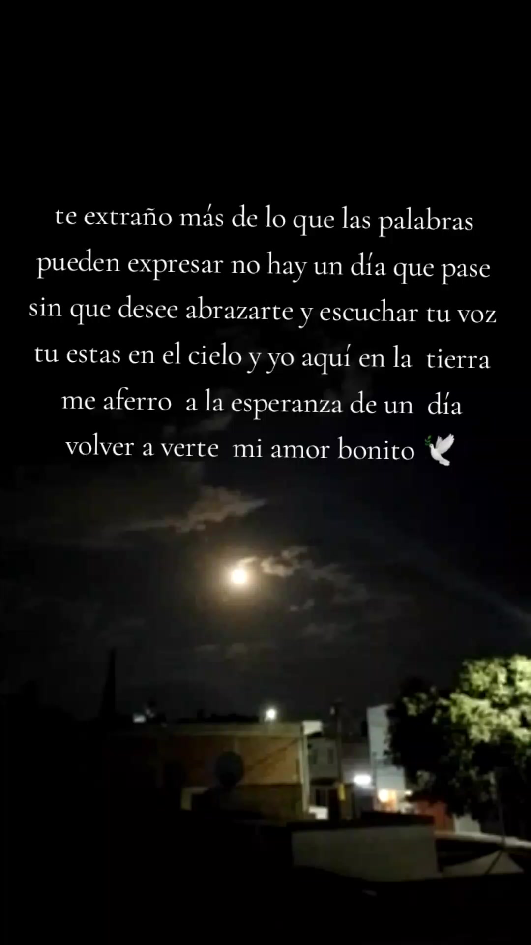 @luzjaramillo286