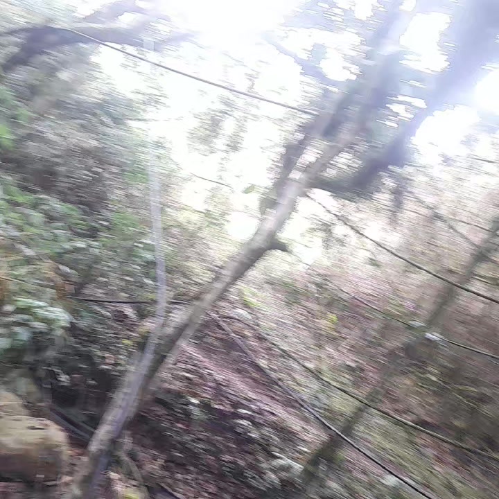 @YYYYYYY