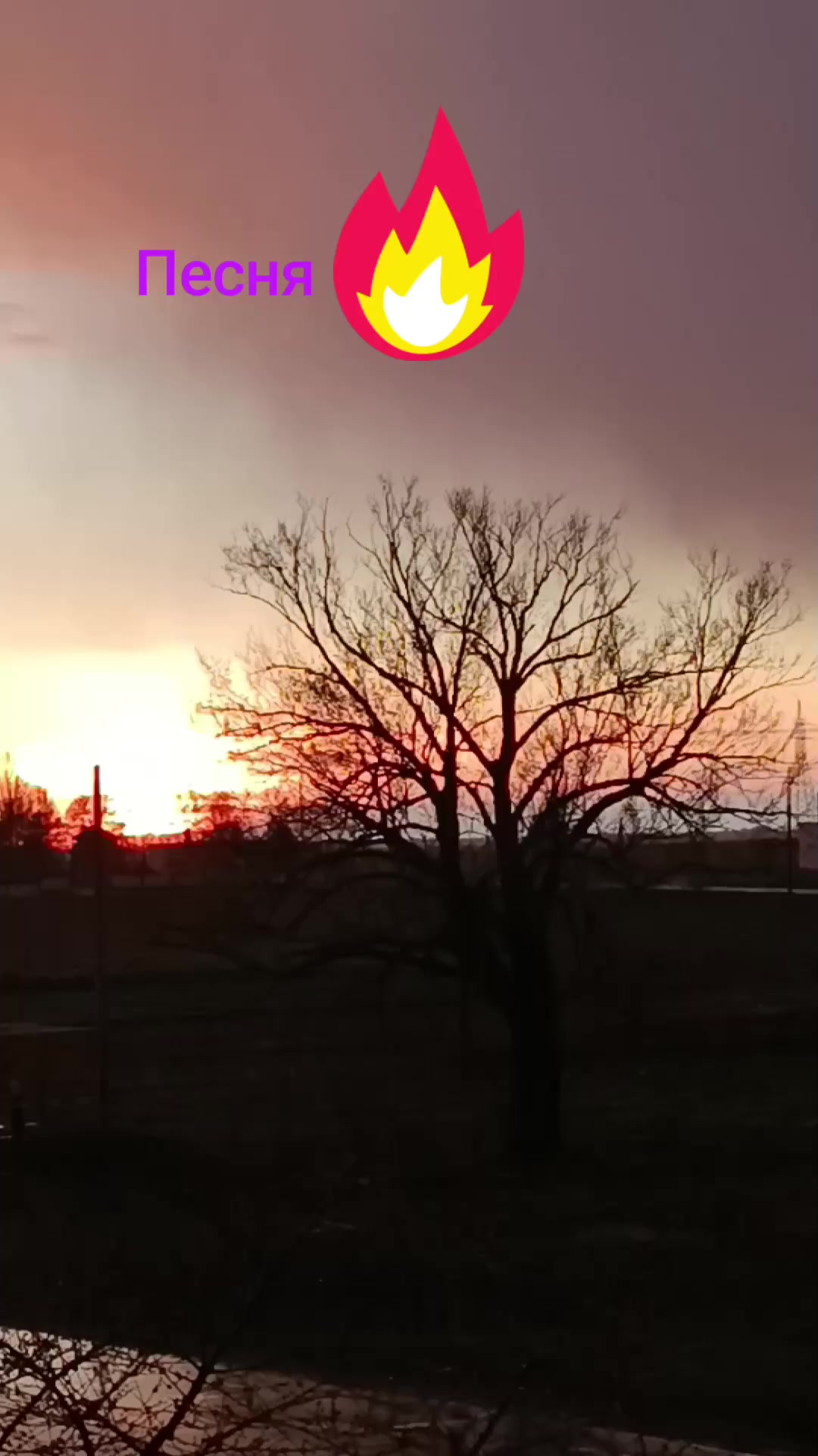 @Светлана