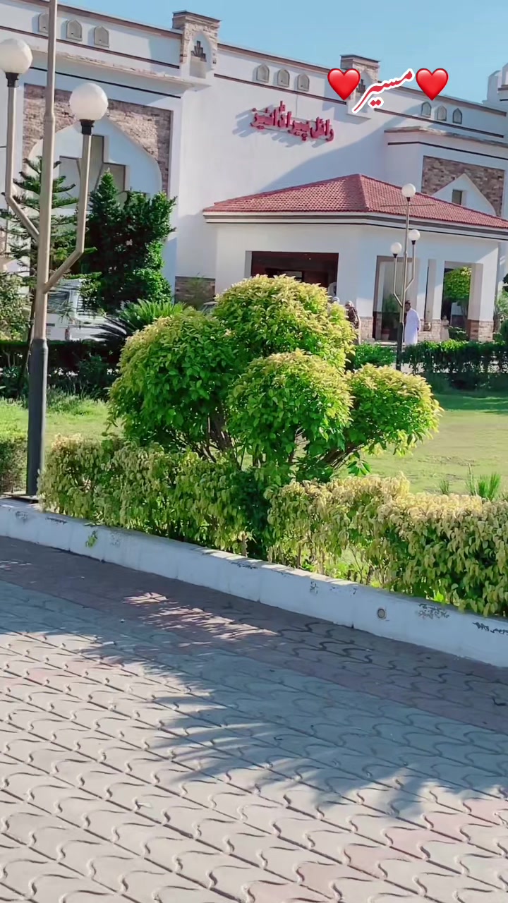 @Saifibadshah333