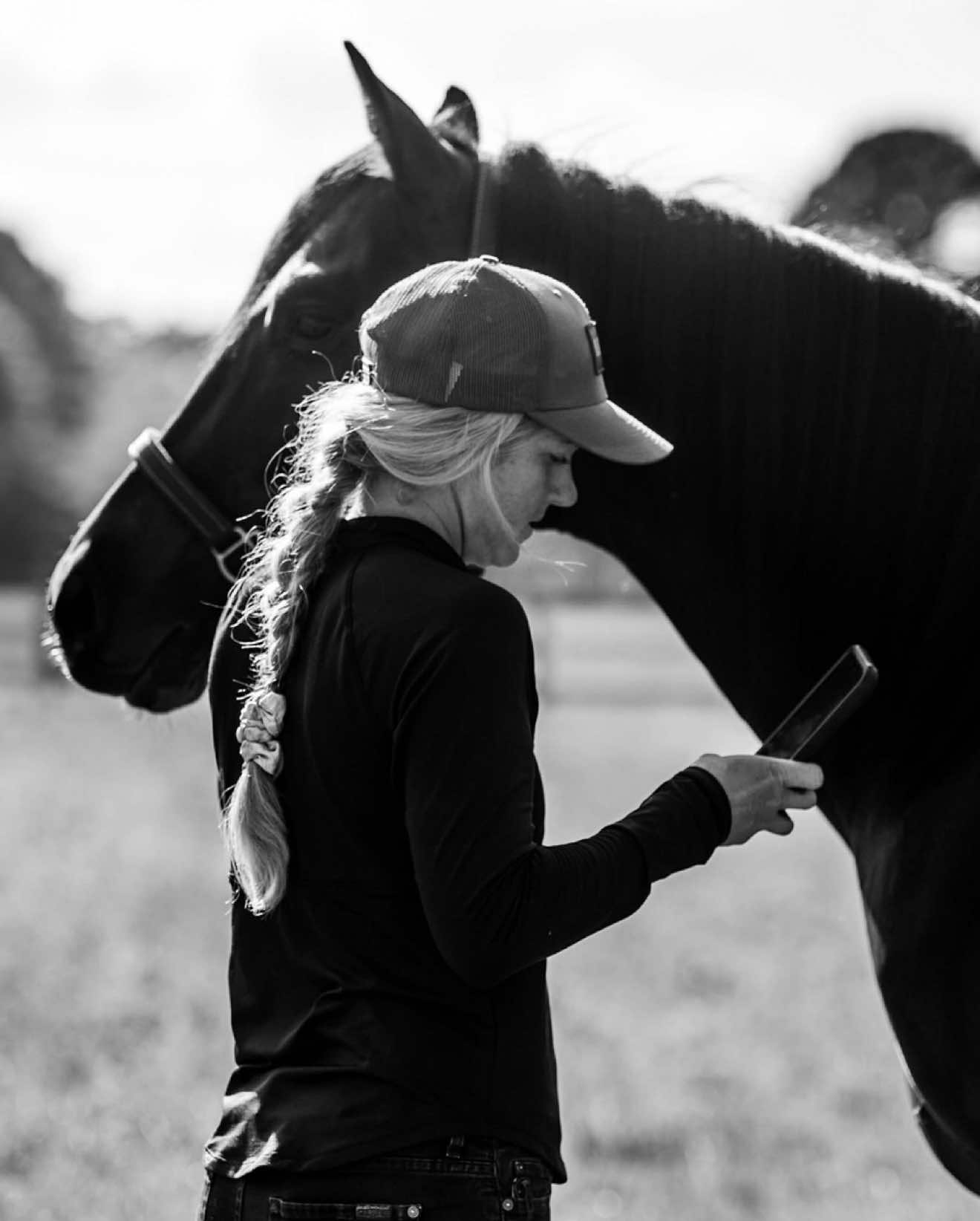 @KY Performance Horses