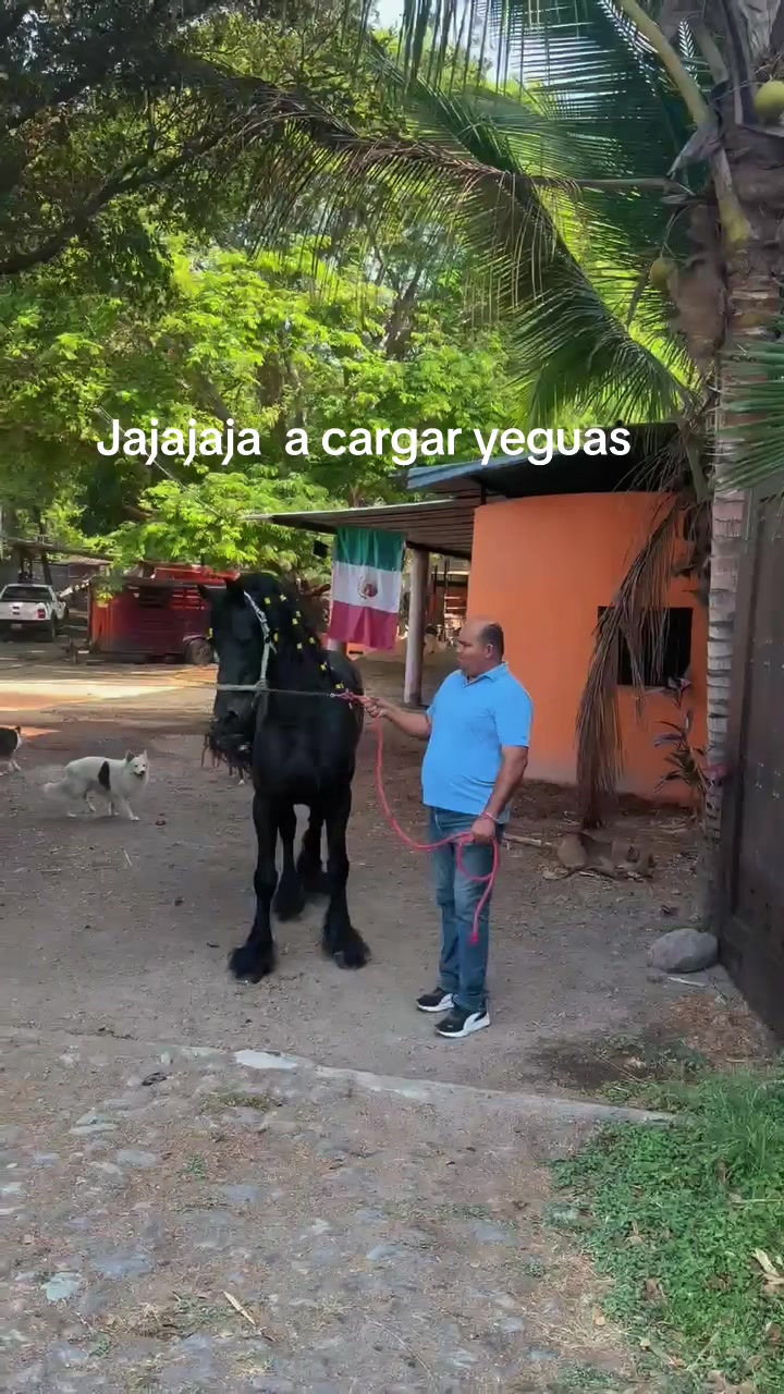 @CUADRA EL ENCANTO
