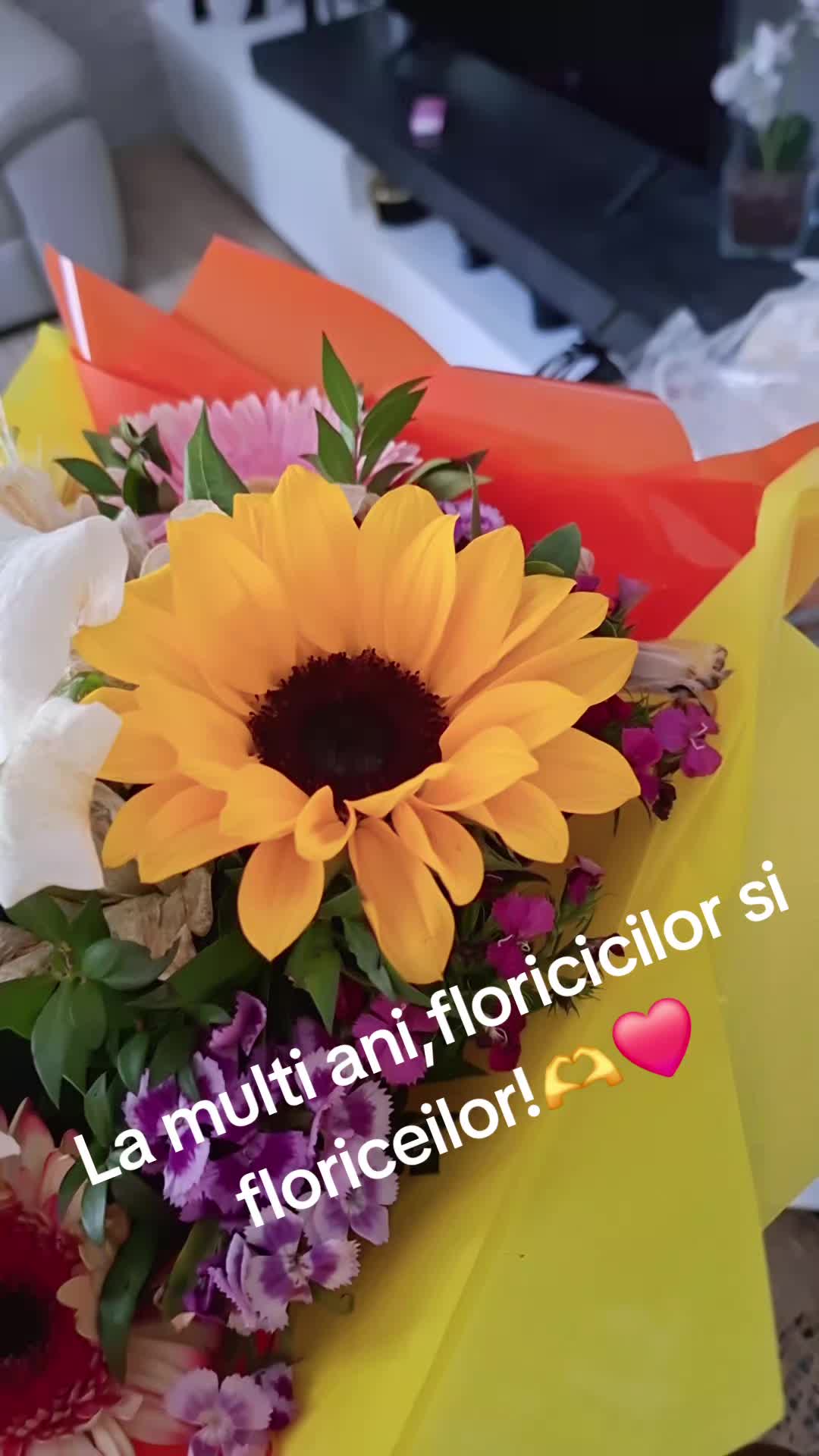 @DOAMNA ALINA♌️