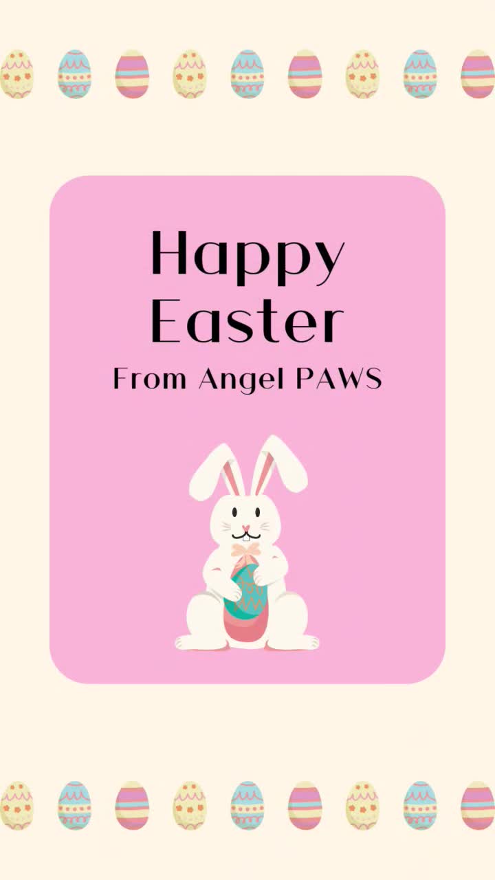 @Angel PAWS