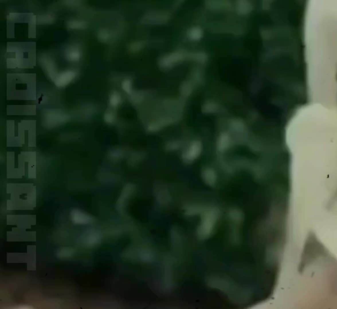 @Colleenmoonrise
