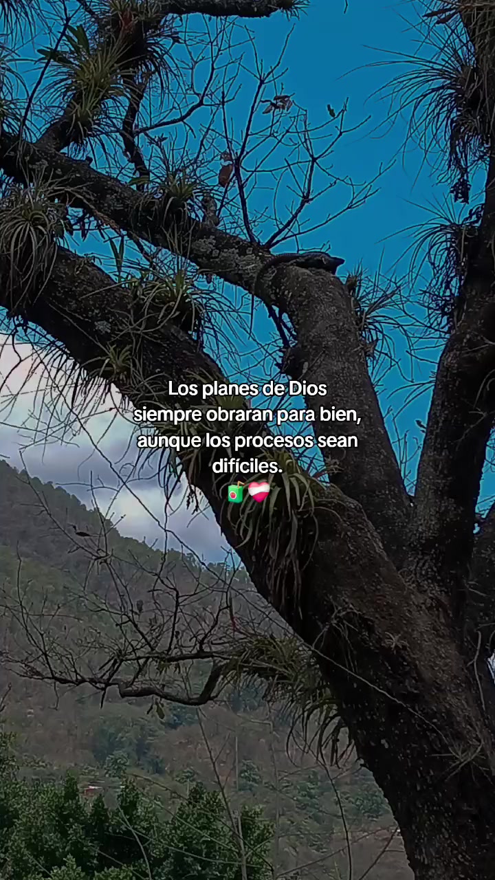 @@valdejuarez