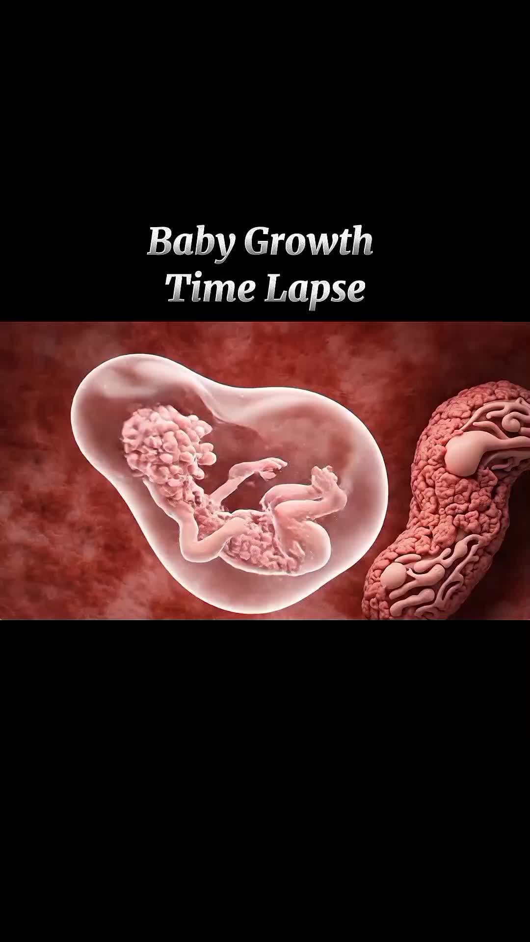 @Pregnancy Info