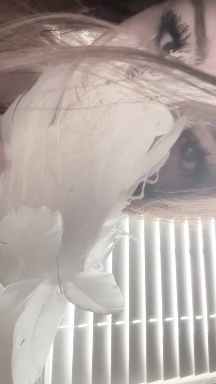 @kate ୨ৎ