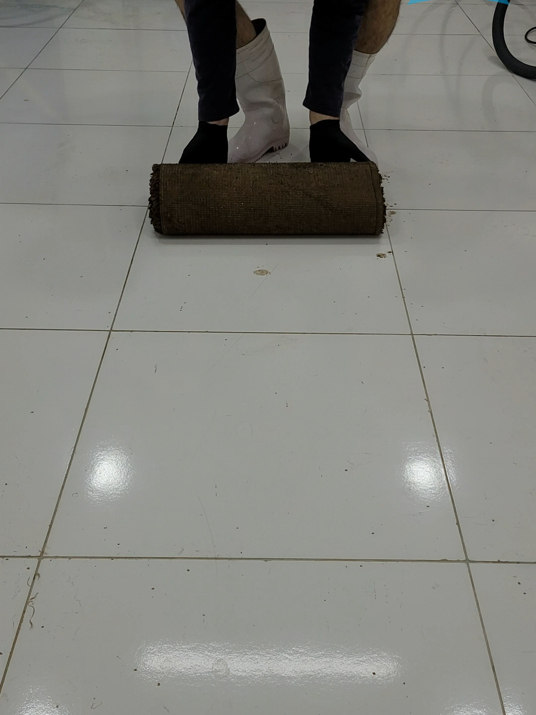 @magnusrugcleaning