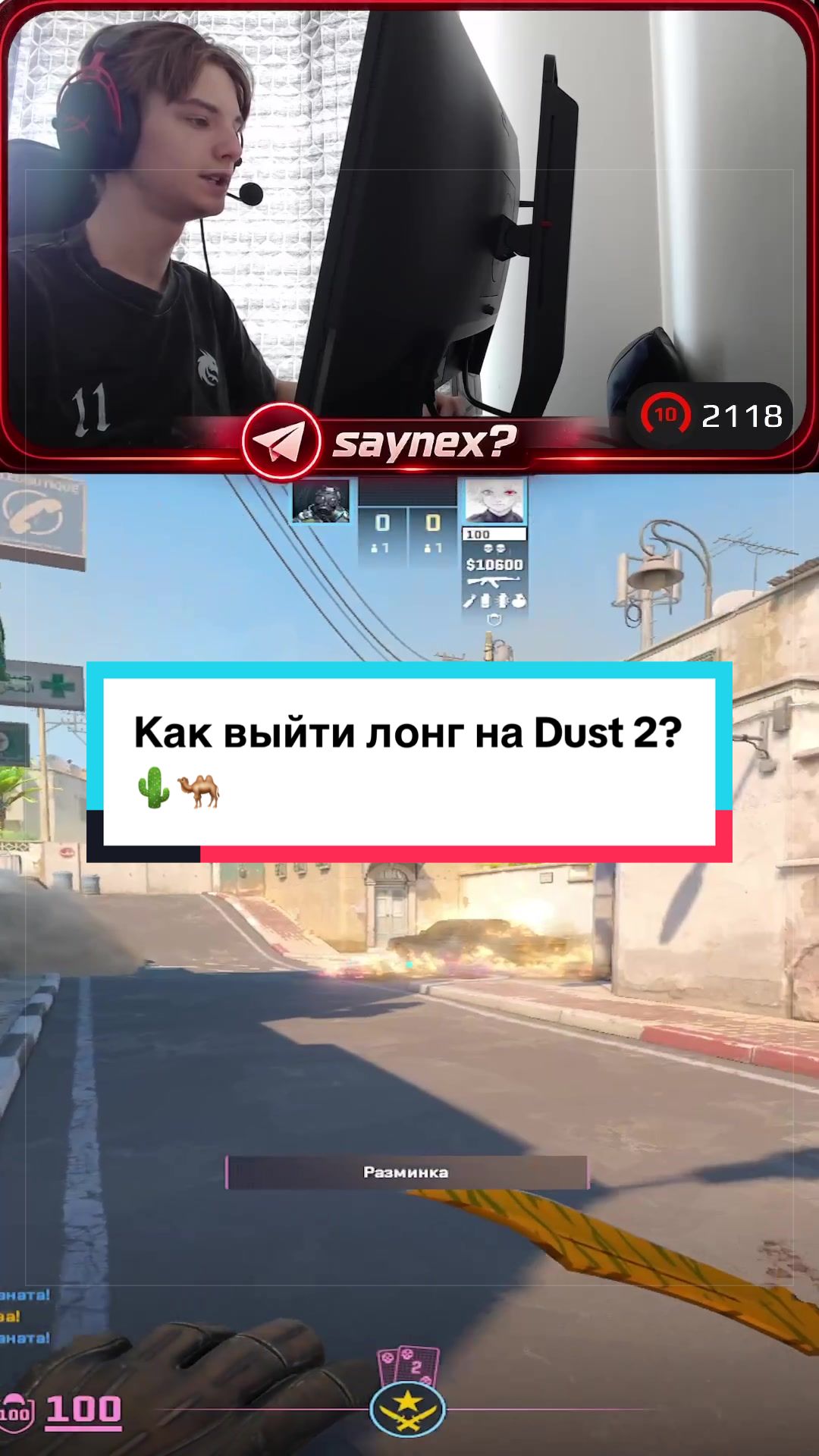 @SayneX