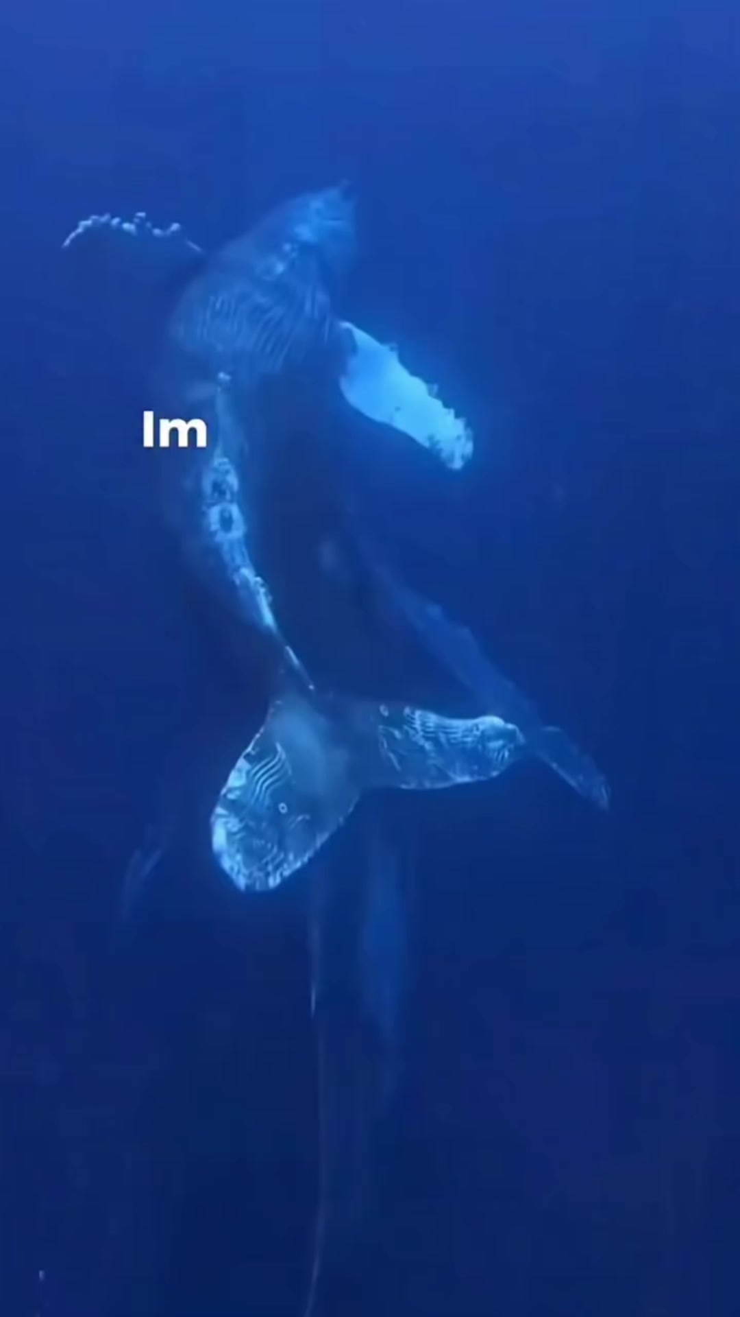 @Banane