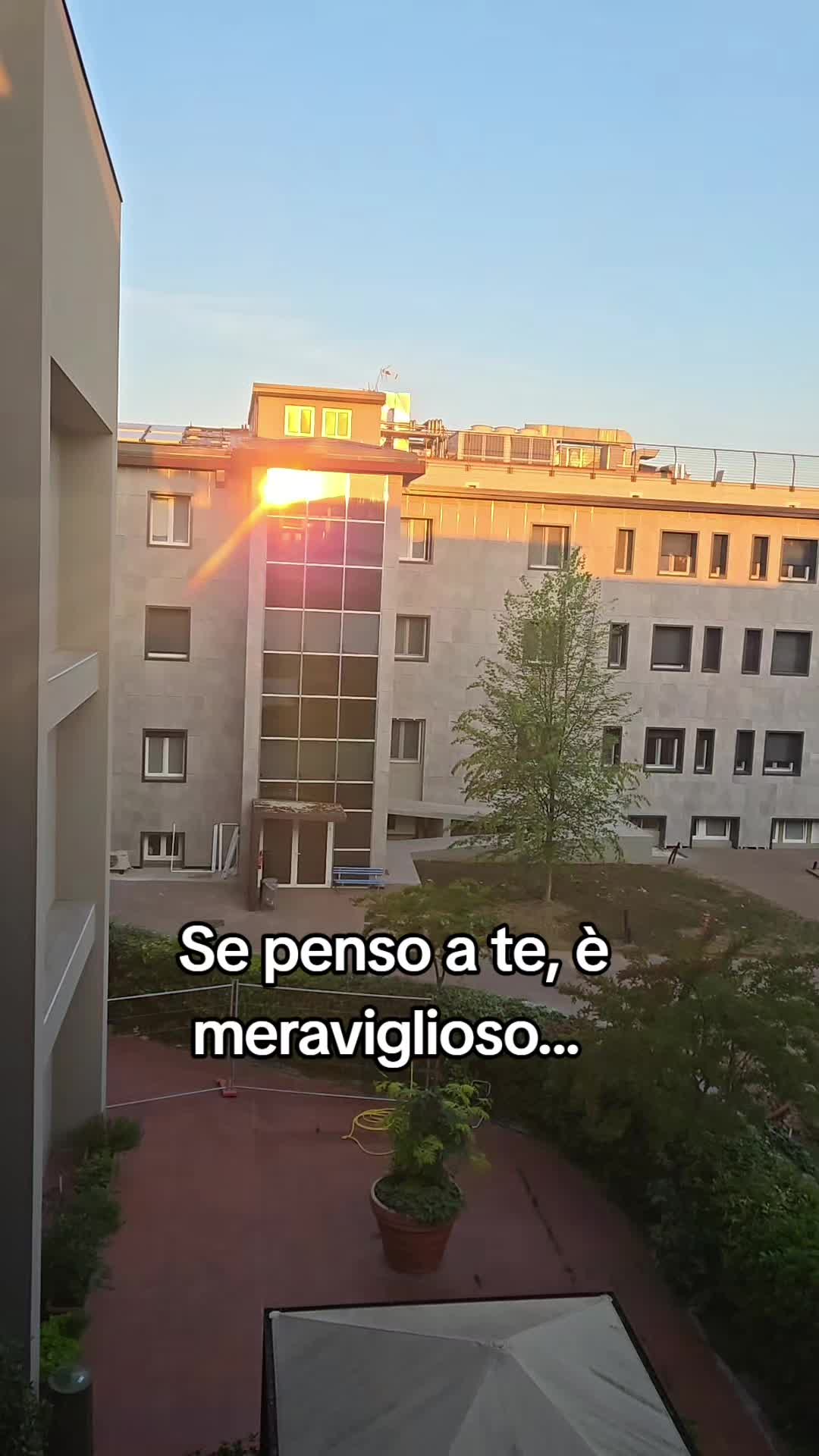 @Anima Nera