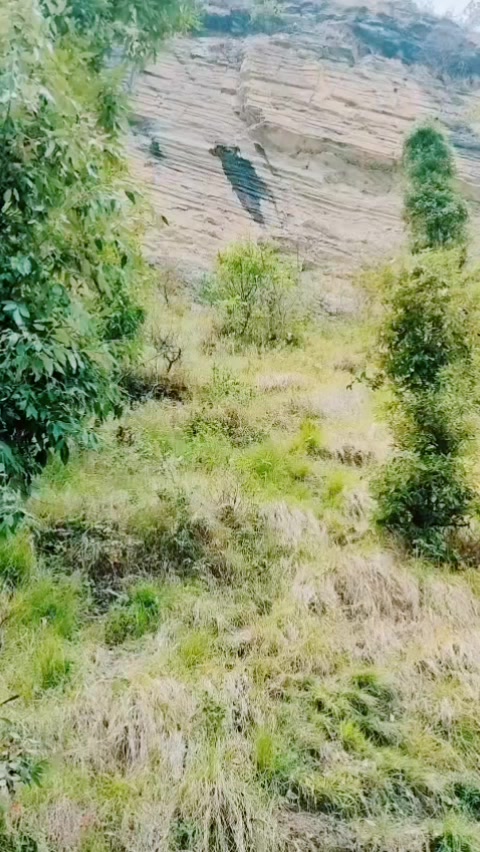 @कमला थापा मगर✅