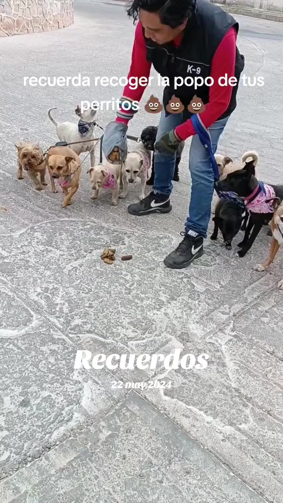 @DogWalkZacatecas♥️🐕🦺🌟