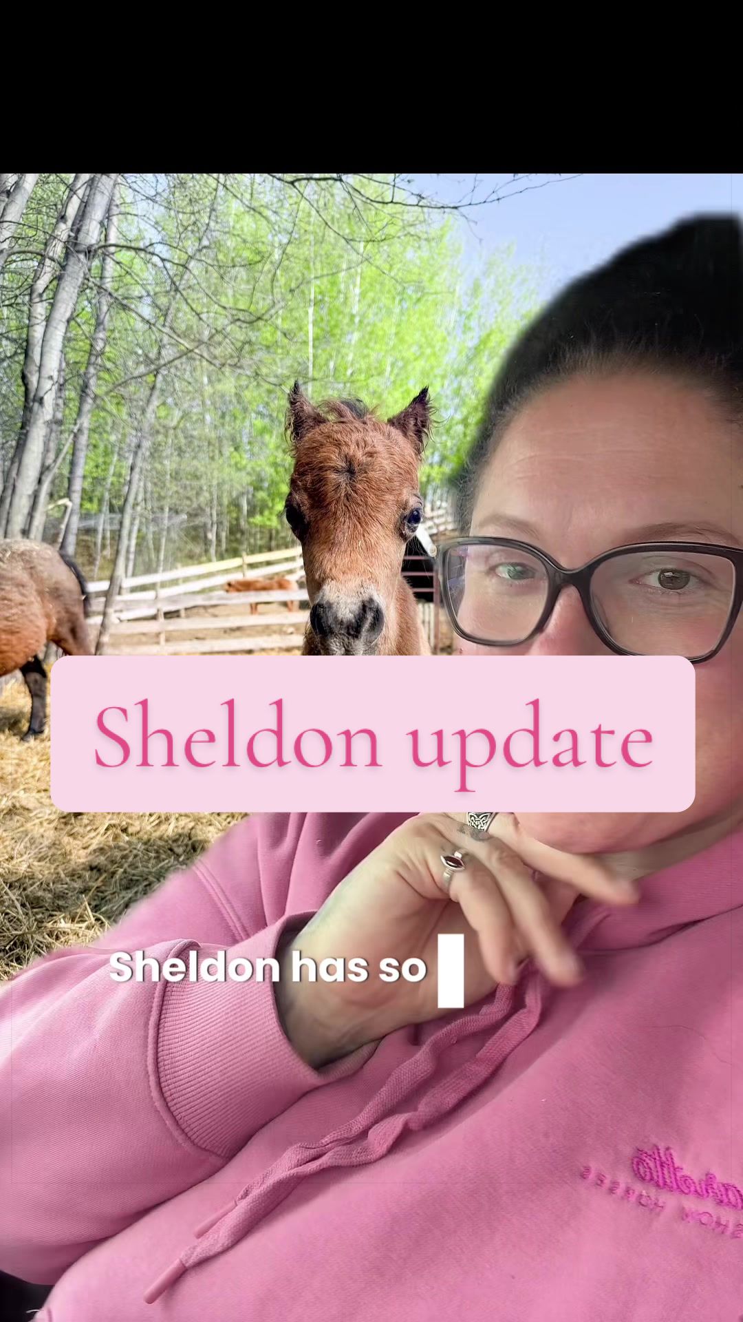 @Becca | Life + Animals 🇨🇦